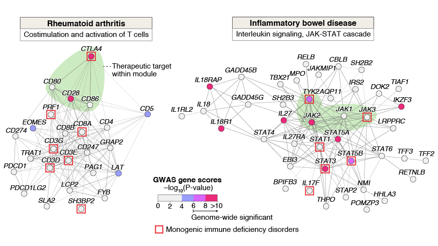 Daniel Marbach tweet media