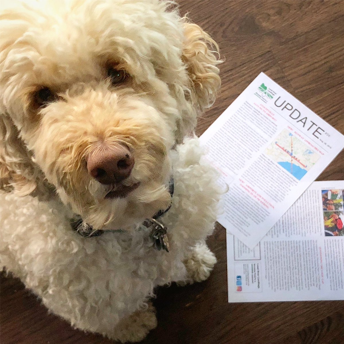 Land Over Landings tweet media