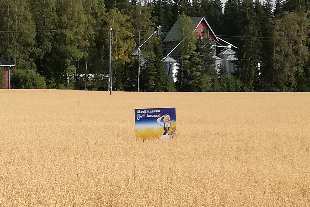 SannaSimula's tweet photo. Hyvä tapa tehdä ruuantuotantoa ja maataloutta tutuksi ohiajaville autoilijoille! #tiedämitäsyöt #RuokaaOmastaMaasta https://t.co/VFLkJtwv7g