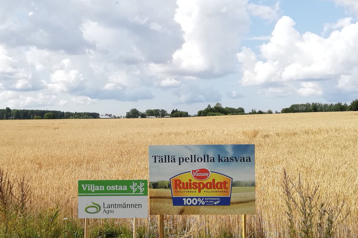 SannaSimula's tweet photo. Hyvä tapa tehdä ruuantuotantoa ja maataloutta tutuksi ohiajaville autoilijoille! #tiedämitäsyöt #RuokaaOmastaMaasta https://t.co/VFLkJtwv7g