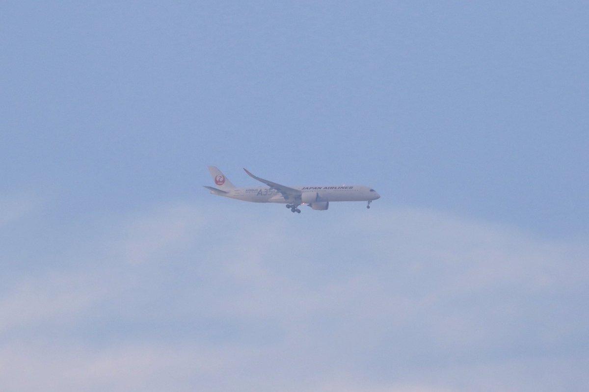 雲が多いですが、何とか撮りました。#JAL
#A350
