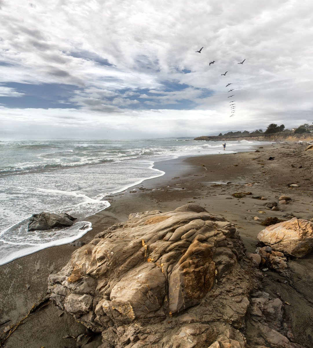 Today is National Beach Day! We're so lucky to be in a location that boasts such a beautiful coastline and the wonderful Moonstone Beach.