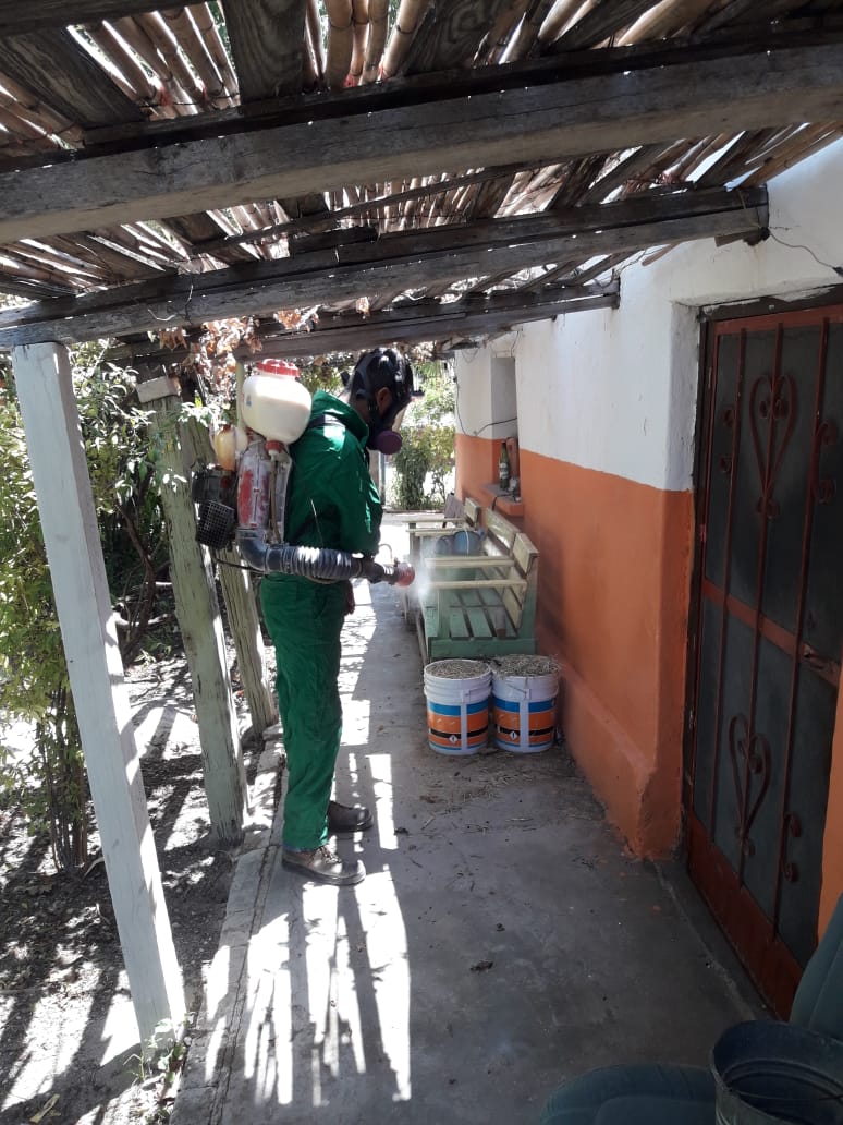 JS05COAH's tweet photo. #RociadoIntradomiciliario #TranformandoNuestraEscuela @CoahuilaSS https://t.co/q8YO9TNdIW