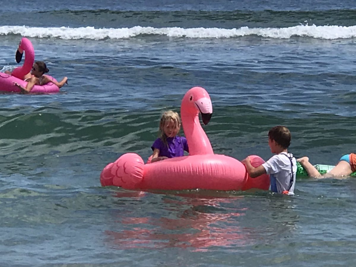 Who loves flamingos as much as @nls_stock? This kid. 😜♥️ #beach