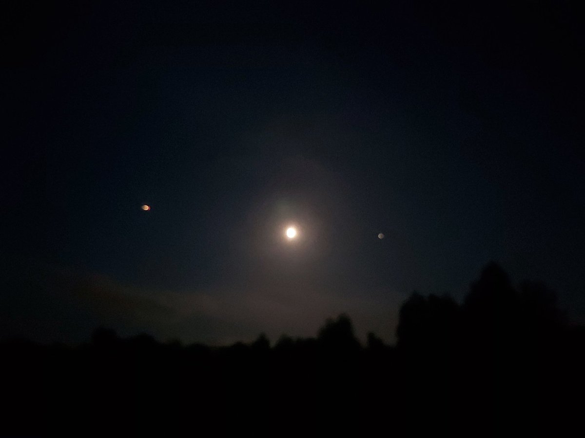 Loutre Du Bengale On Twitter I Feel You Mec Qui Cherche