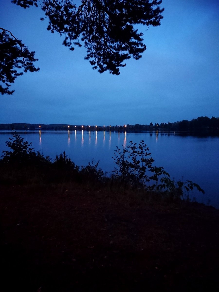 Waffleirony_'s tweet image. I love it when my camera makes colours funky when it's dark :3 #aestheticAF #myface