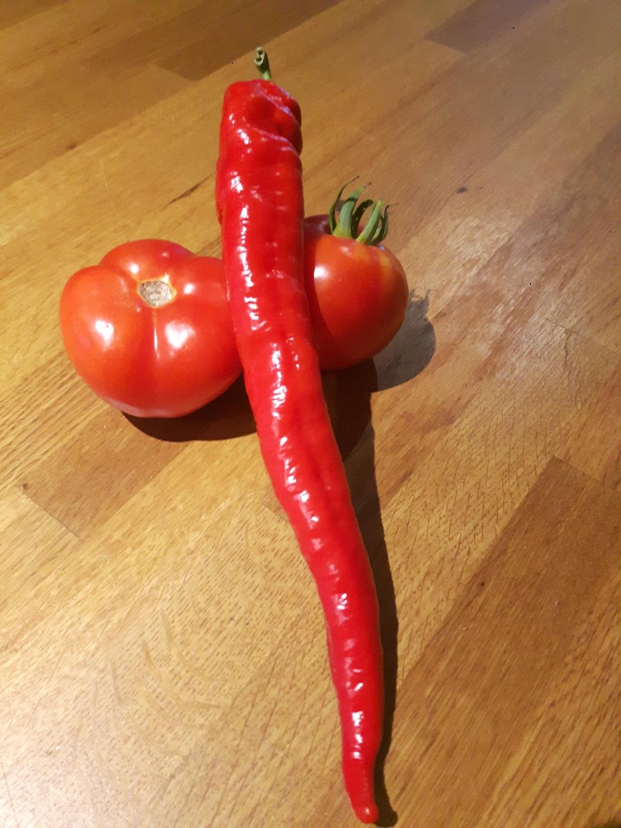 Cayenne pepper and fresh tomato coming right up on some @ Oven Brothers wood fired nachos.  Discover your inner chef today @ ovenbrothers.ca &amp; bbqing.com

#backyardgardenfresh
#ovenbrothers 
#capitalbbq