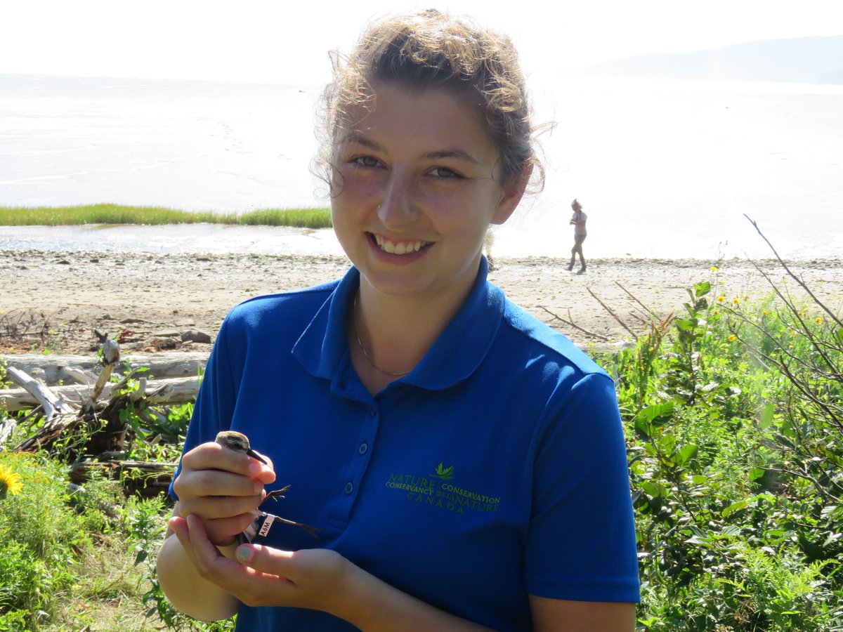 PeepsandTides's tweet photo. Thank you @NCC_CNC for a wonderful summer at Johnson's Mills shorebird reserve on the #BayOfFundy! It has been a great summer for 4 interns who are now headed back to school. See you soon peeps! https://t.co/1QB3ZZXU4J