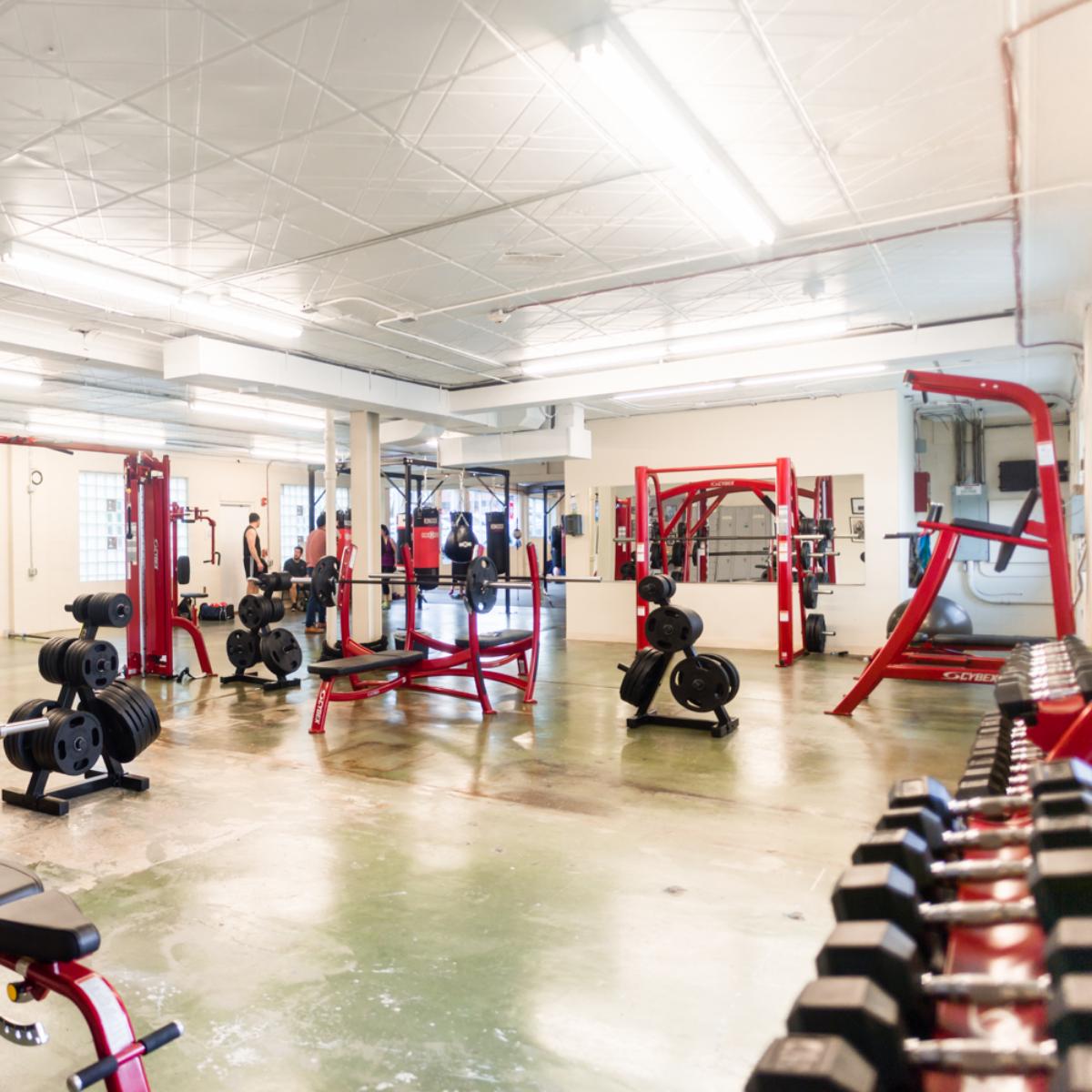 jacksboxinggym's tweet photo. What are you weighting for? It's time to get back to work! https://t.co/02iJp0RLzW