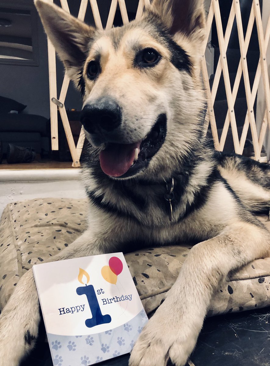 Beth Tremelling tweet media