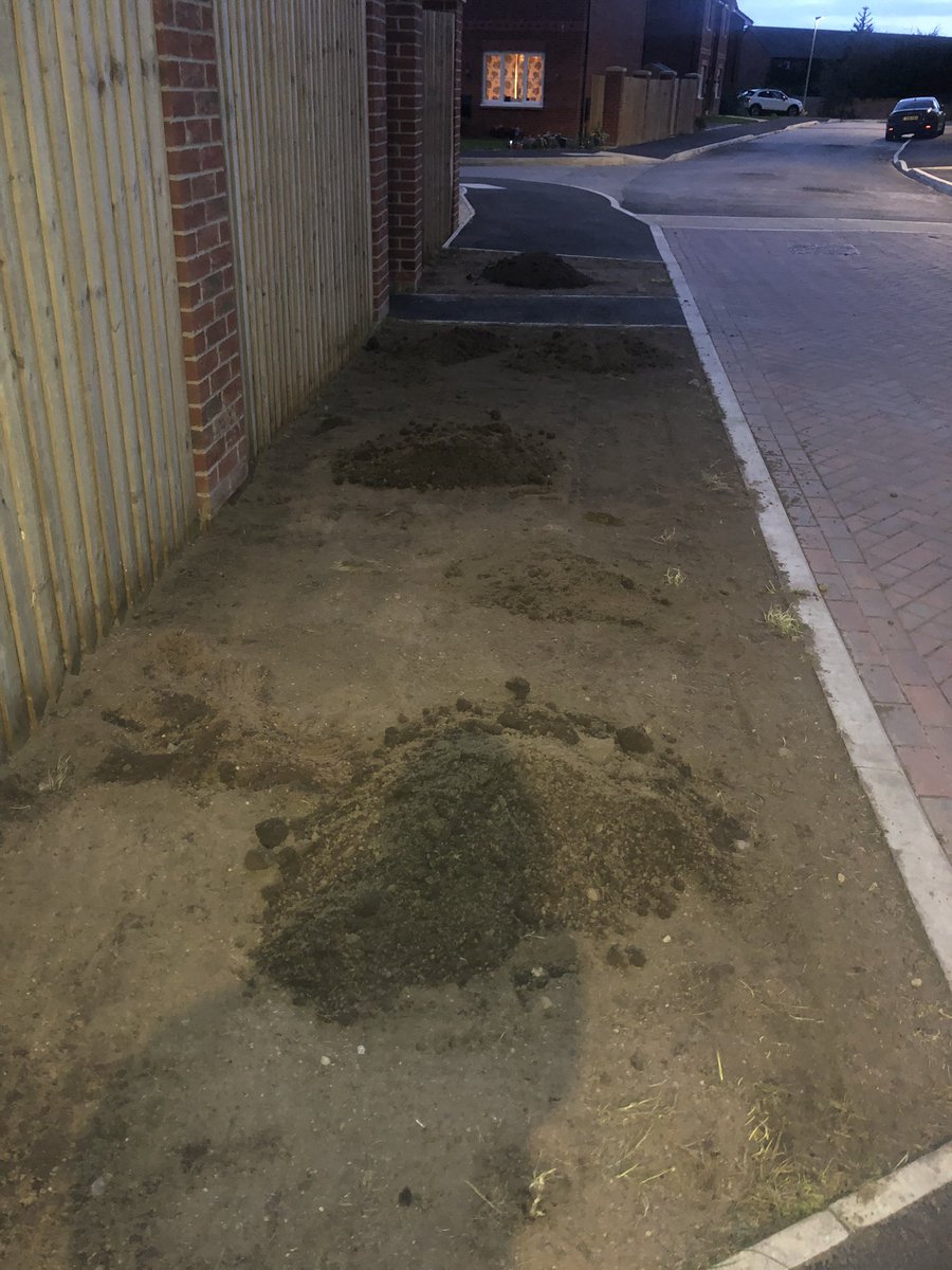 PLR84's tweet image. What is this now @SMilneHomes ... Lay dead grass to dig it back up again and leave me with this... Again NO communication what so ever...Disgraceful!! 2 years on still no road laid and pavements I believe are been dug up again! One day I might come up to a finished home!