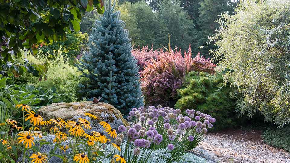 joegardener's tweet photo. Which favorite plant have you lost to hungry deer? This wk's podcast featured Karen Chapman, author of the new book Deer-Resistant Design. Listen in for creative ways to avert #deer - without the need for an expensive fence: https://t.co/nLZqsxpduc
#deerdamage #gardenpest https://t.co/muCN9nl8Zd