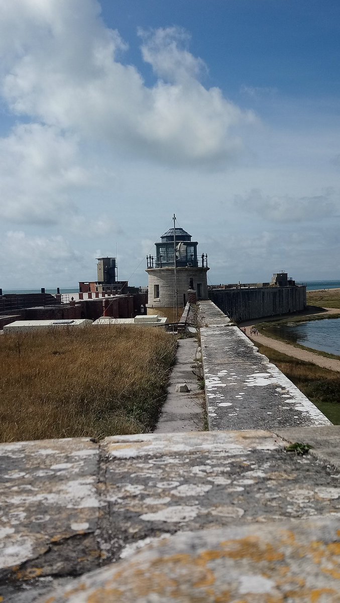 Sharon Derrick tweet media