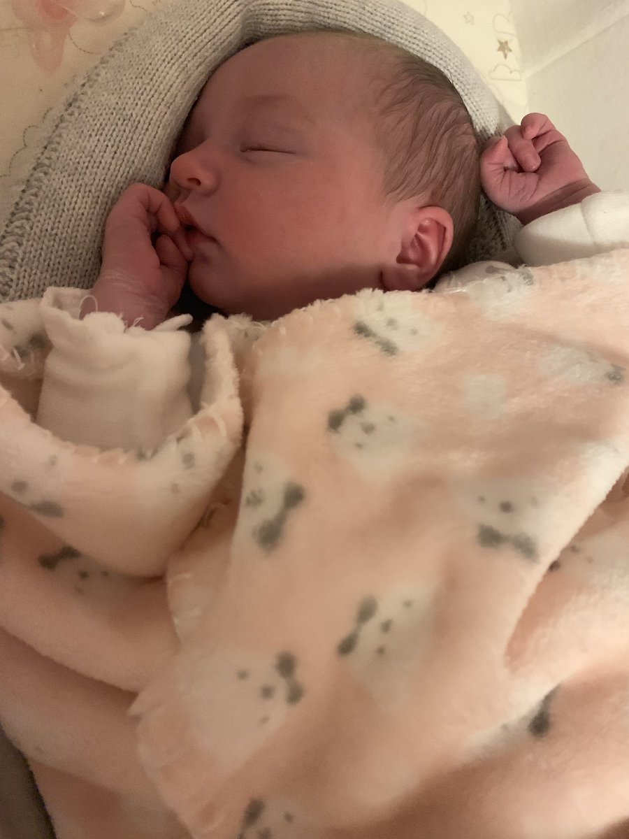 LouuVic's tweet photo. I literally am the luckiest girl ever- love my little family 💗💗💗 https://t.co/SH4Wp4Odch