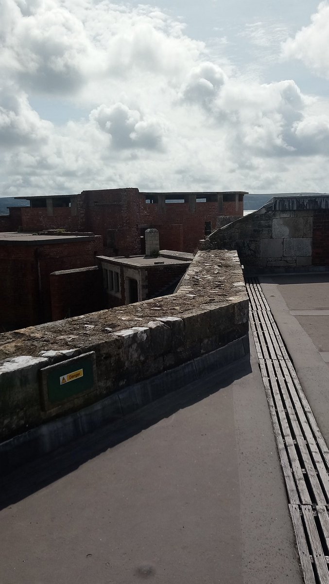 Sharon Derrick tweet media