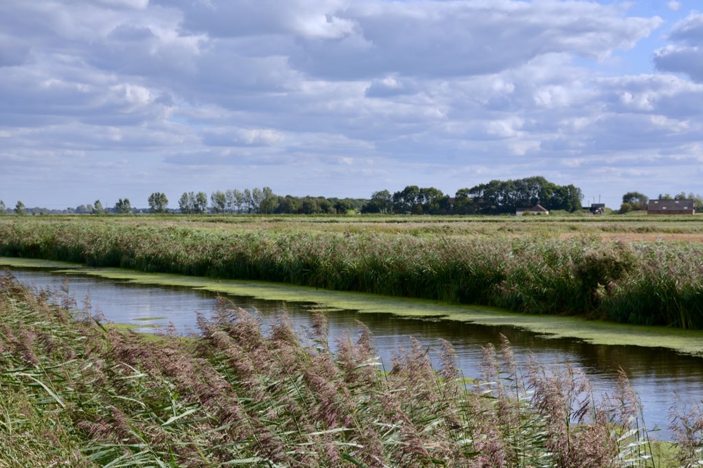 sandramortlock's tweet photo. #fenland #fens #marchcambs #twentyfoot @FascinatingFens @discovermarch Beautiful afternoon π https://t.co/uh7NWsiHH7