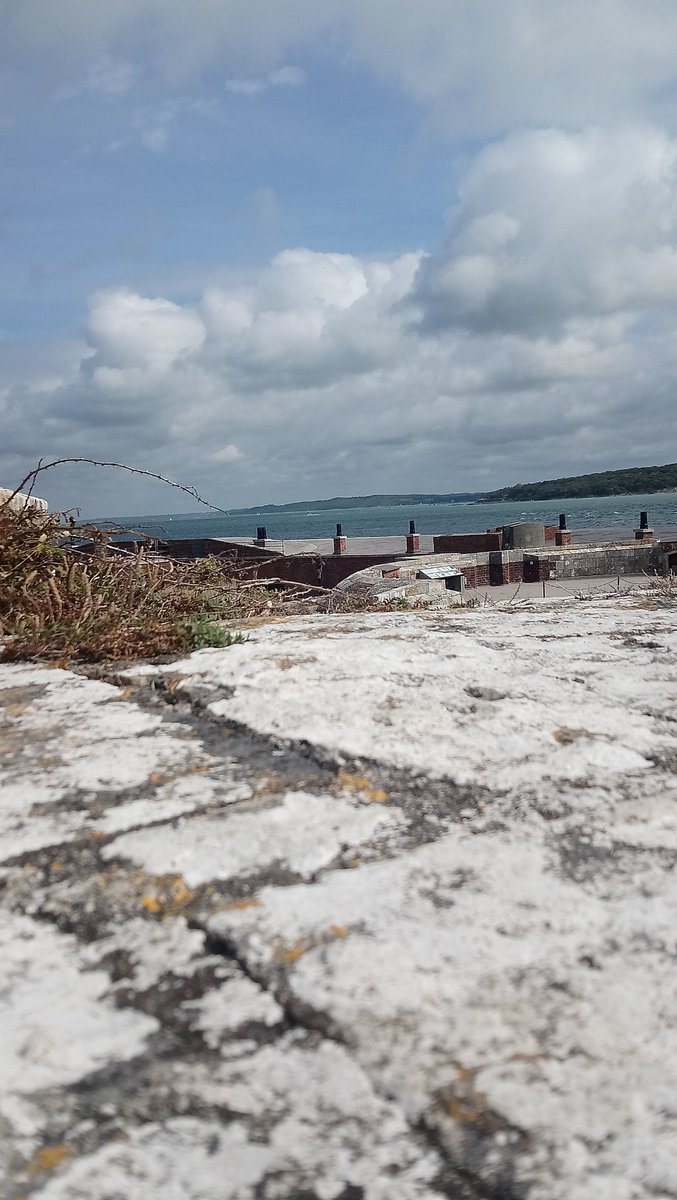 Sharon Derrick tweet media