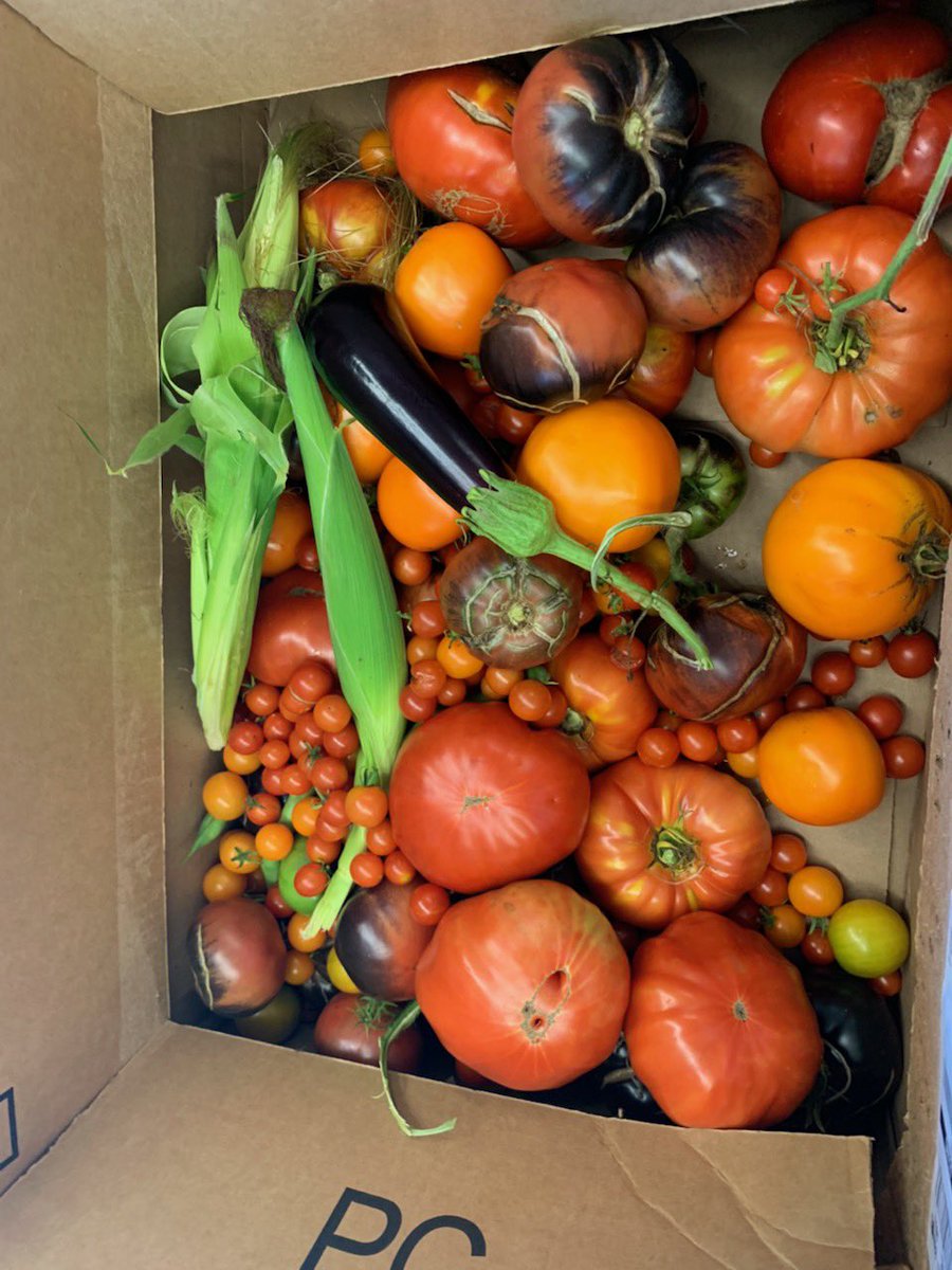 ᴡᴇɴᴏɴᴀʜ tweet media