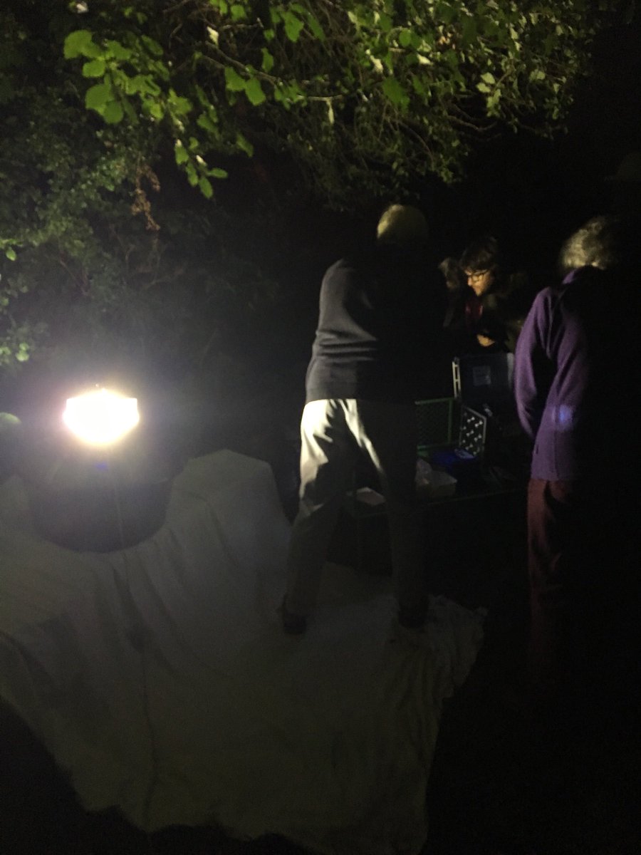 Baydons Meadow tweet media