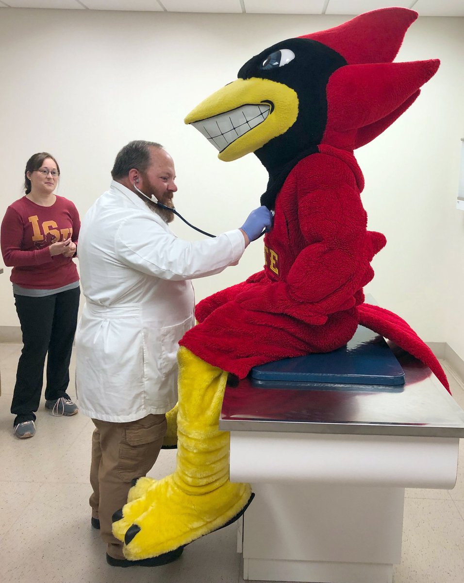 ISUVetMed's tweet photo. In preparation for tomorrow's Cyclone football season opener, @TheMascotCy dropped by the Hixson-Lied Small Animal Hospital in @ISUVetMed . Dr. Bryce Kibbel and veterinary technician Sarah Kolb gave Cy a complete physical and declared him fit for tomorrow's big game! https://t.co/ilHPNBmYHu