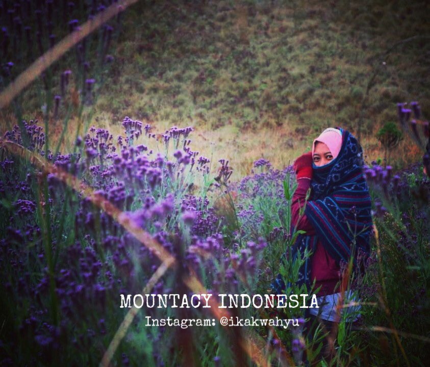 mountancyindo_'s tweet image. The beauty of Indonesia’s Natural Treasure, Oro-oro Ombo in Mount Semeru (Bromo Tengger Semeru National Park), Indonesia
Find the other beauty of it on our Instagram @mountacyindonesia_ and our twitter @mountancyindo_ 

#indonesia #indonesiatourism
 #worldofdcode