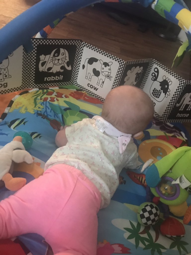 MrsRas0906's tweet photo. @joannagaines if you have time, check out these AMAZING BOOKS! All ages and even bible stories! This is my cutie loving her tummy time book! https://t.co/1RkCN0Al22 https://t.co/lRWSIwHI2R
