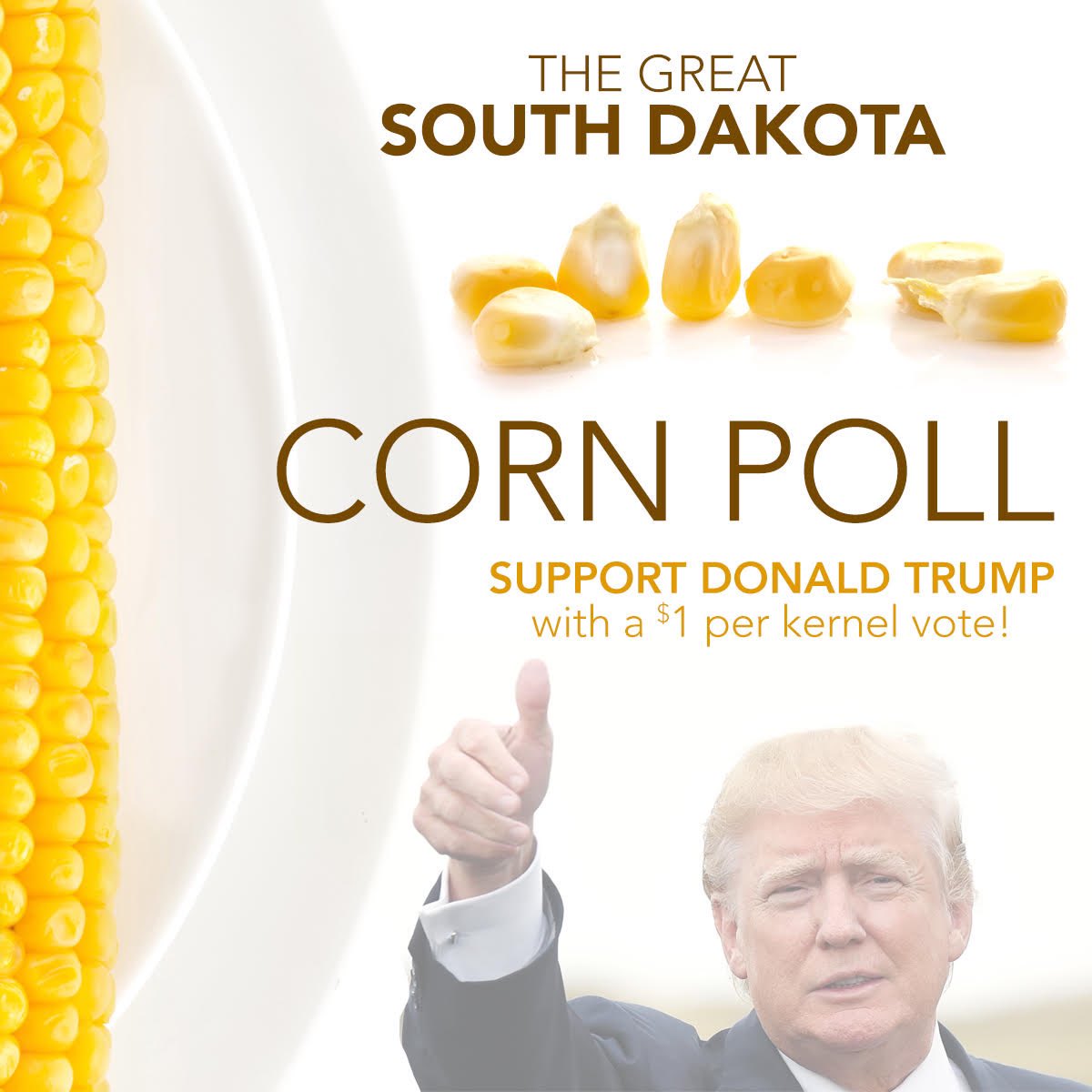 SDGOP's tweet photo. Show your support for President Trump @realDonaldTrump by casting your vote in our Corn Poll! You can also win a pheasant hunt with @SenatorRounds by voting and using the new @GOP fundraising tool @winred Just click here to get started: https://t.co/ictB3eiFz0 https://t.co/E0JDgwRLPM