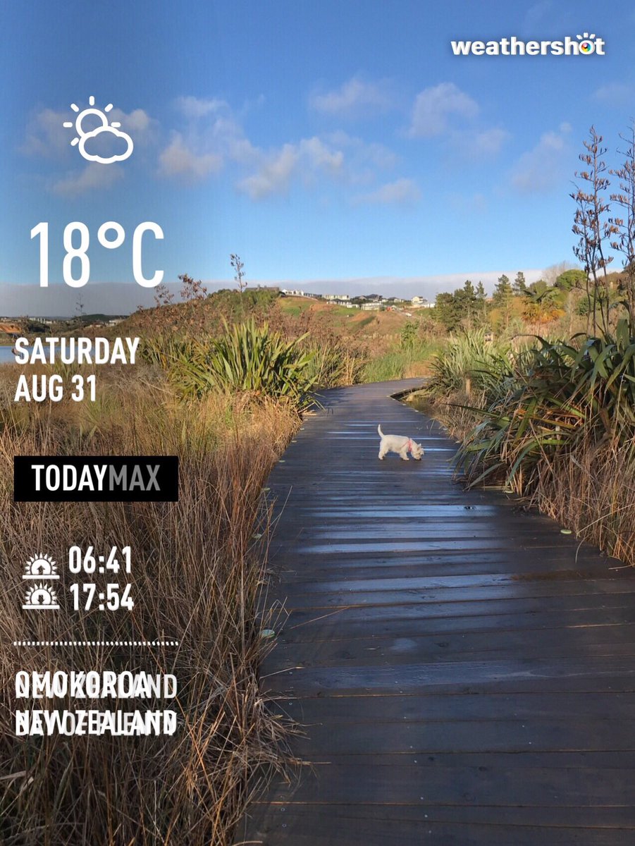 maryjaneleuch's tweet image. 😀⛅ 18°C #Omokoroa ##learningoffthelead #perfectwalk