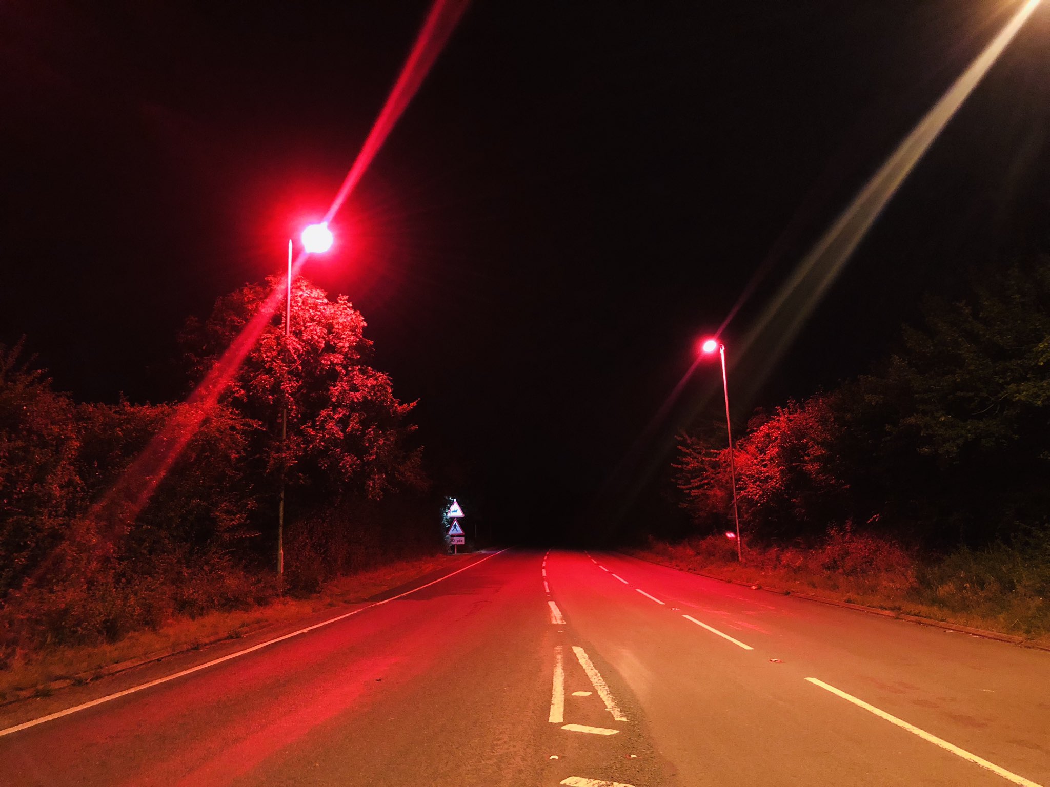 Ben. on Twitter "Just been to see the first ‘bat crossing’ in the UK