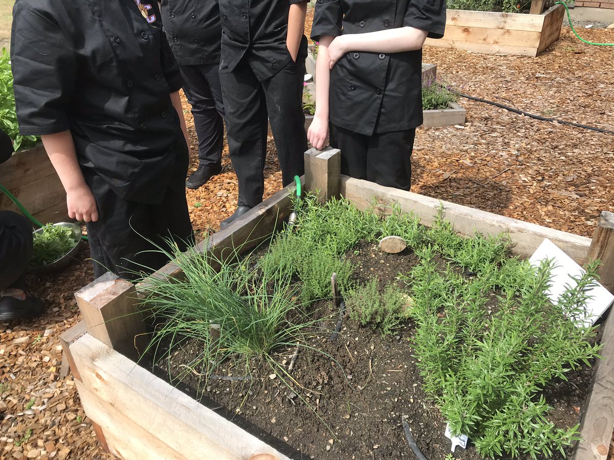 Old Colony Culinary tweet media