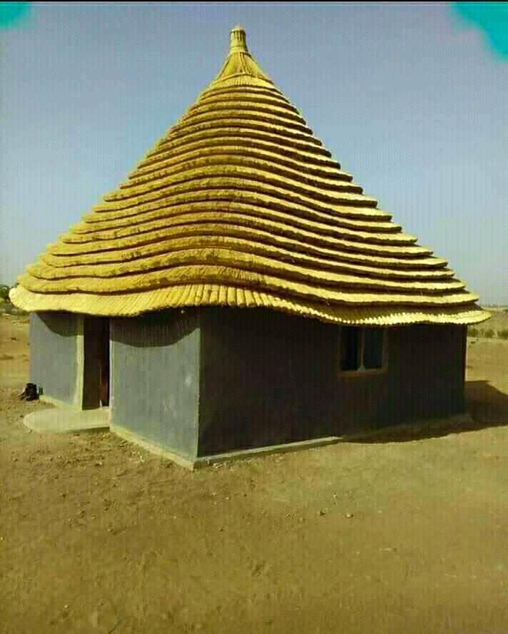 MissionSaveUG's tweet image. 