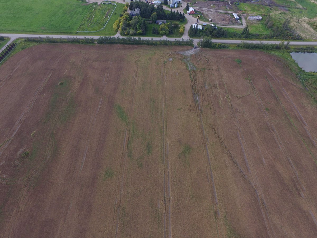 KarlOesch's tweet photo. Looking at some #pea #fungicide #demos up near Iron River AB! First pass is Pyraclostrobin, followed by the #Cotegra strips. Second pass is really showing the difference this year, looking forward to seeing what the combine takes off! #BASFinYourField @BASFAgro https://t.co/DFe3auDIrj