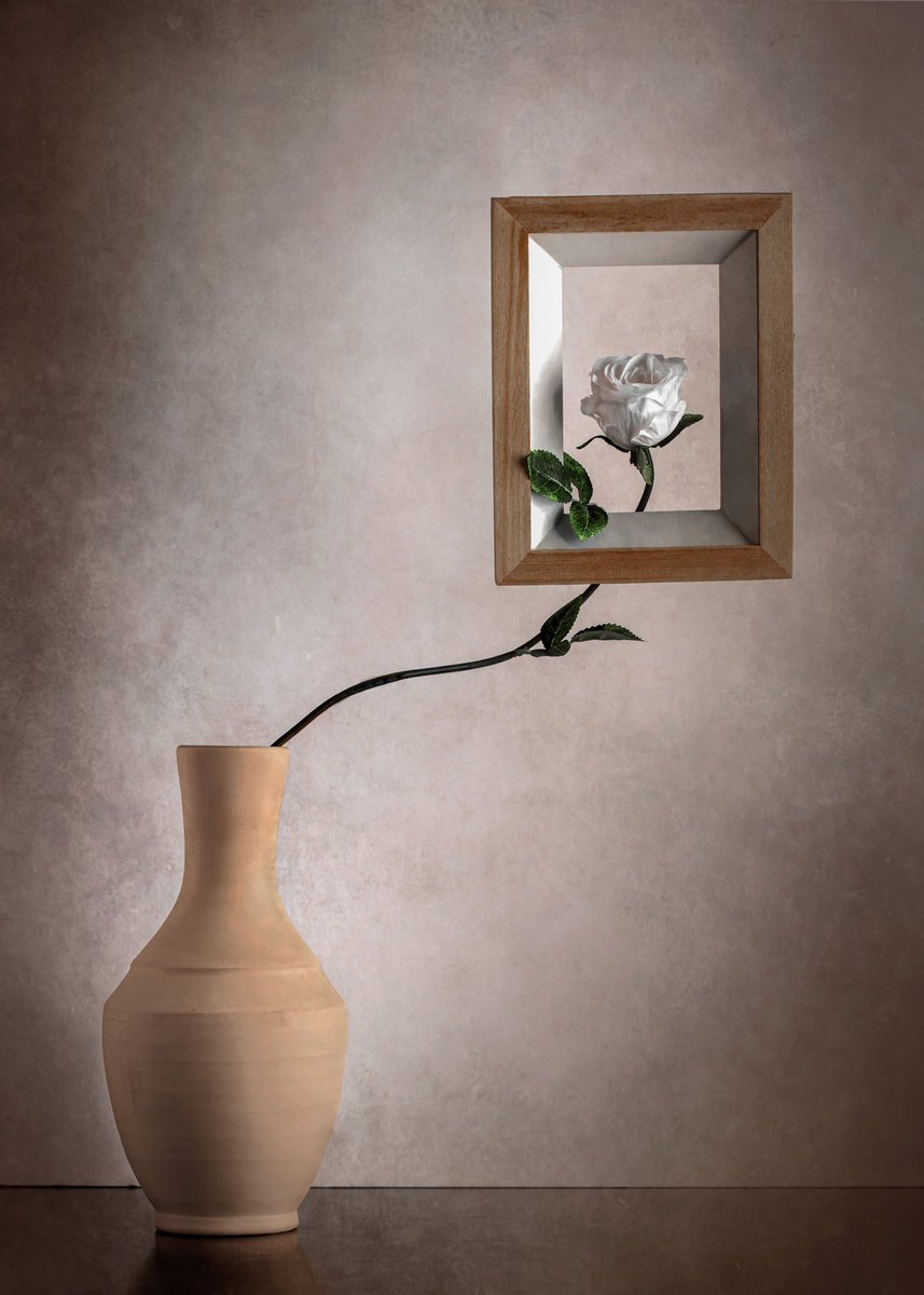 #صوره_من_تصويري نوع العمل  #مفاهيمي #ستيل_لايف #القنفذة والسؤال هنا ماذا تعني هذي الصورة ؟