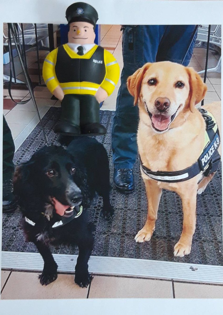 PSNINMDown's tweet photo. With lots of events going on tomorrow in #Newry we will be using #PSNIDogSection to sniff out drugs.
If you plan to attend any of the events in Newry tomorrow leave your drugs at home or these guys (or their buddies) will sniff them out!
Sgt KG https://t.co/STBuwDxZ5k