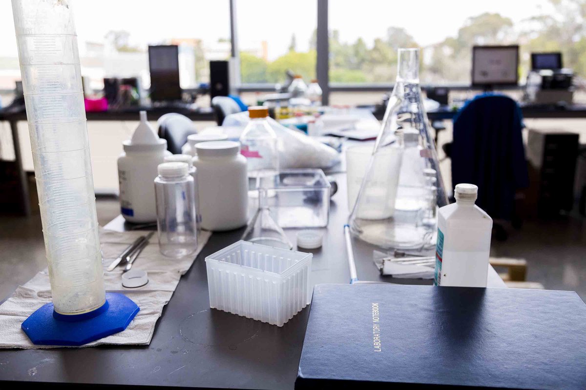 UCSB_CCS's tweet photo. @ucleads scholars Michelle Chiu and Shay Ellaboudy, #UCSBCCS Bio ‘21, are completing their first summer in the program. Read about their research at https://t.co/B5YQxswKZN https://t.co/LId8ZFKxMz