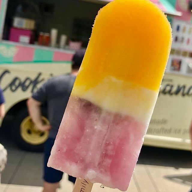 Family Freezed tweet media