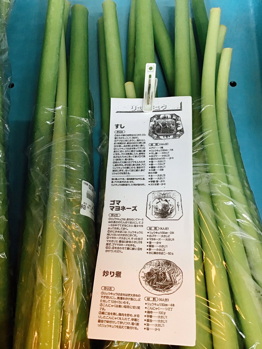 シャキシャキとした食感が魅力の高知の野菜リュウキュウ ハス芋 の食べ方と定番レシピの紹介 しまんトロッコガイド 地元のおばちゃんブログ