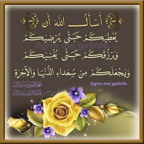 salahsha8's tweet photo. https://t.co/OHfR6zSN2x