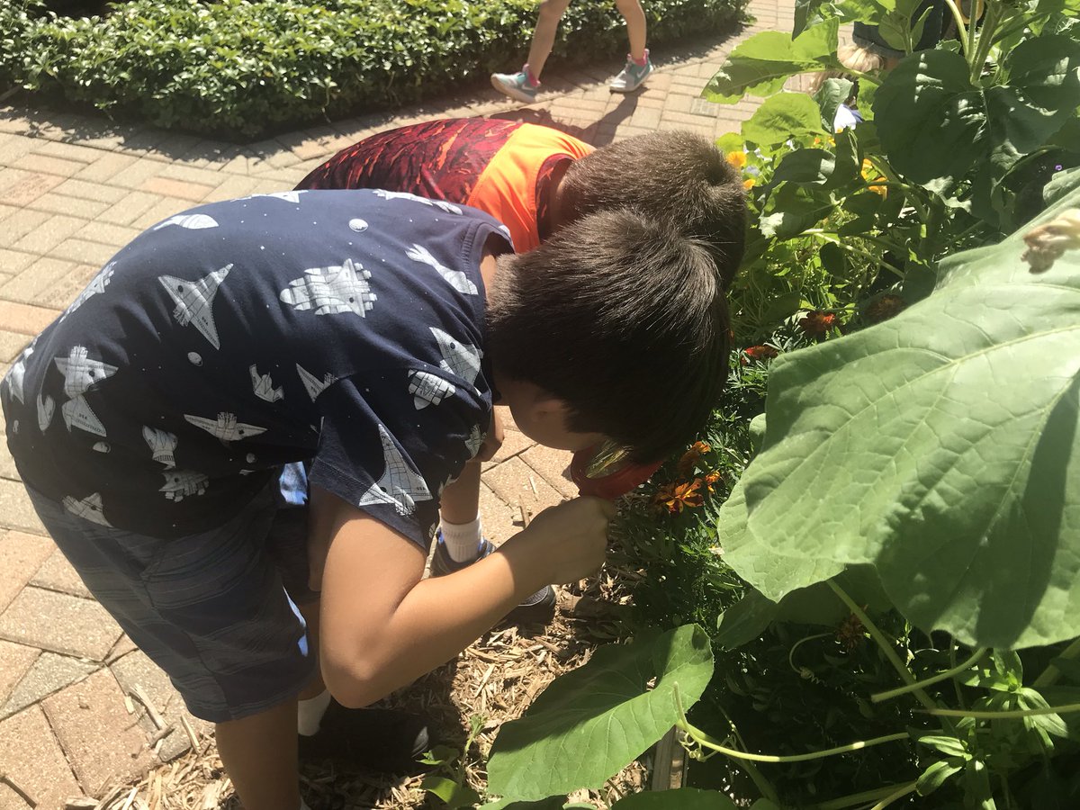 MrsKenar2's tweet photo. More fun observing and learning in the Wayne Thomas garden! 2K and Mrs. K loved learning in nature. @WayneThomasscho #112Leads https://t.co/FLVE9SNPUz