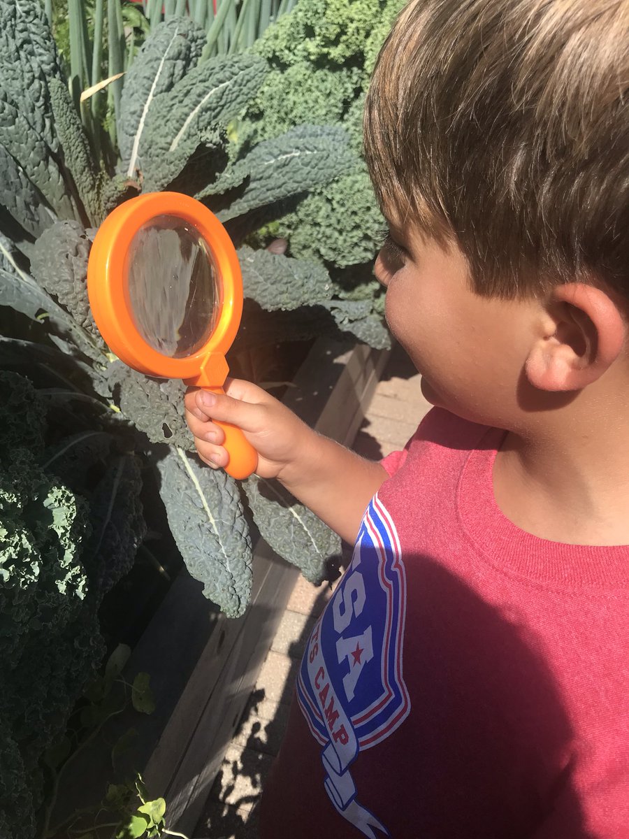Beth A. Kenar (@mrskenar2) on Twitter photo More fun observing and learning in the Wayne Thomas garden! 2K and Mrs. K loved learning in nature. <a href="/WayneThomasscho/">Wayne Thomas School</a> #112Leads More fun observing and learning in the Wayne Thomas garden! 2K and Mrs. K loved learning in nature. <a href="/WayneThomasscho/">Wayne Thomas School</a> #112Leads