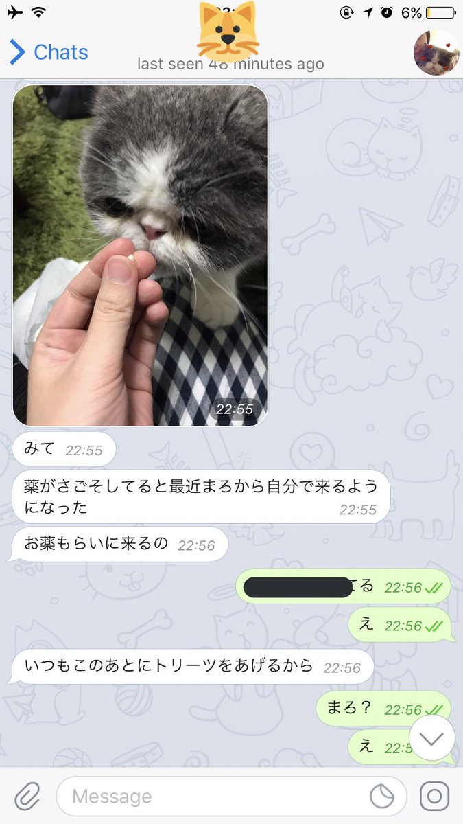Yukimaro (@Yukimarow) / Posts / X