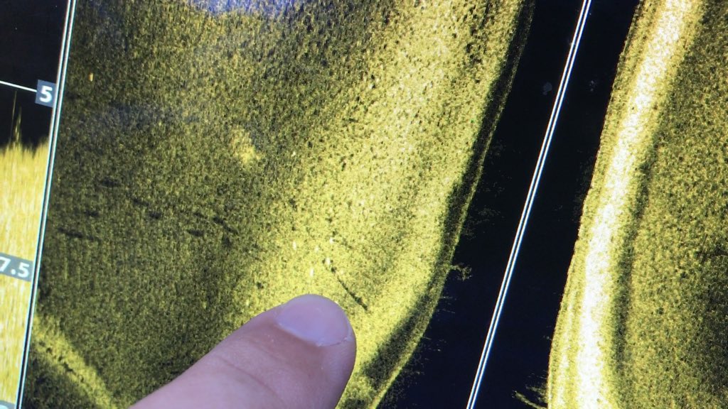 BassGeekFishing's tweet photo. Want to know what Your looking at on those graphs you never use????
Watch and Subscribe to BassGeek!
https://t.co/O1qaUMwQID
#lowrance #humminbird #garmin #sonar #bassfishing #bassgeek #bassfishingismylife #fishingislife #25ksubs https://t.co/JXDa0QUPV2