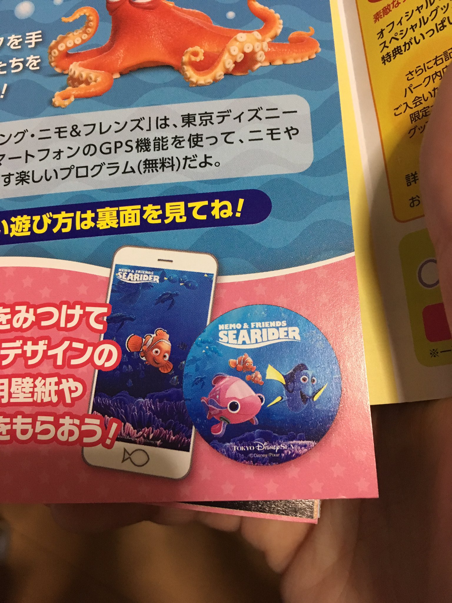 こひつじのダニー✴︎ (@kohitujinodani_) / X