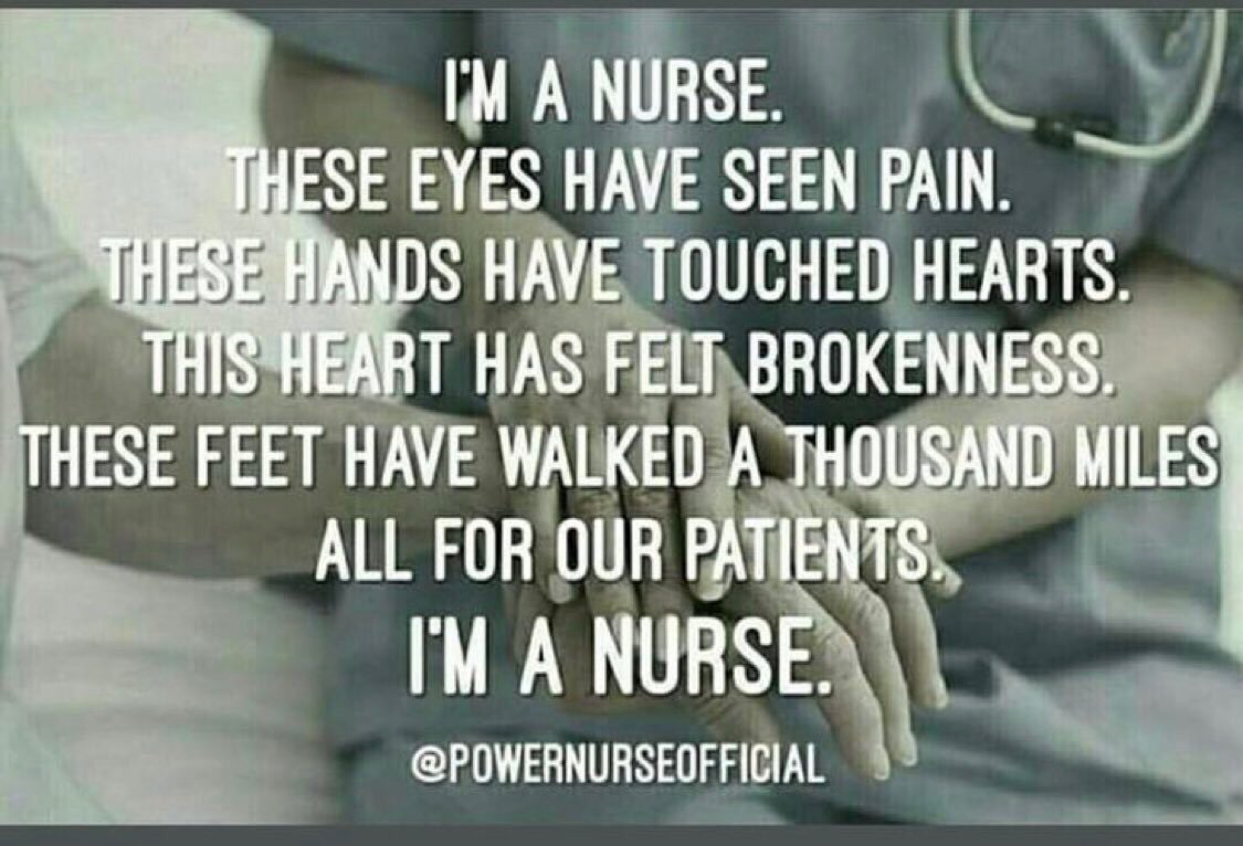 Sandy, the Beach is Back 🌊❄️🇺🇦🌻 tweet media