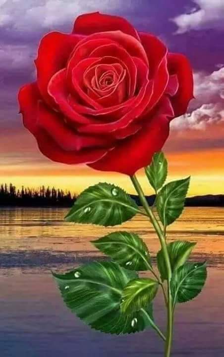 سألت نفسي لمن أكتب كلماتي....
هل لقلوب أرهقت من هذه الحياة...
ام لتلك القلوب التي بين إطلال السعاااده...
هل لقلوب تحتاج لمن يرشدها الى باب الامل..
........
وجدت إجابتي بين رقى وجودكم وطيبت قلوبكم....
    ....     طاااااب ..صبااااااحگم....sama...