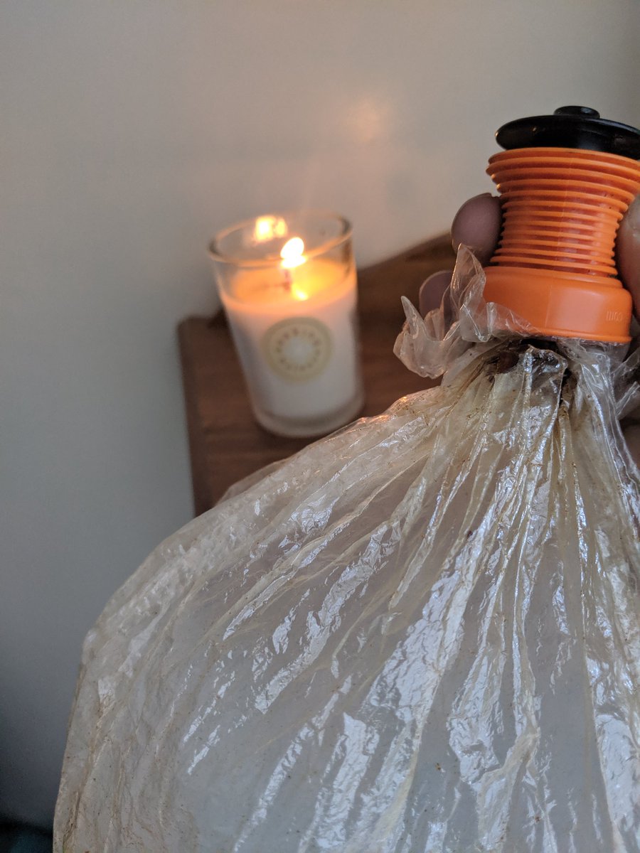 This is my kind of therapy