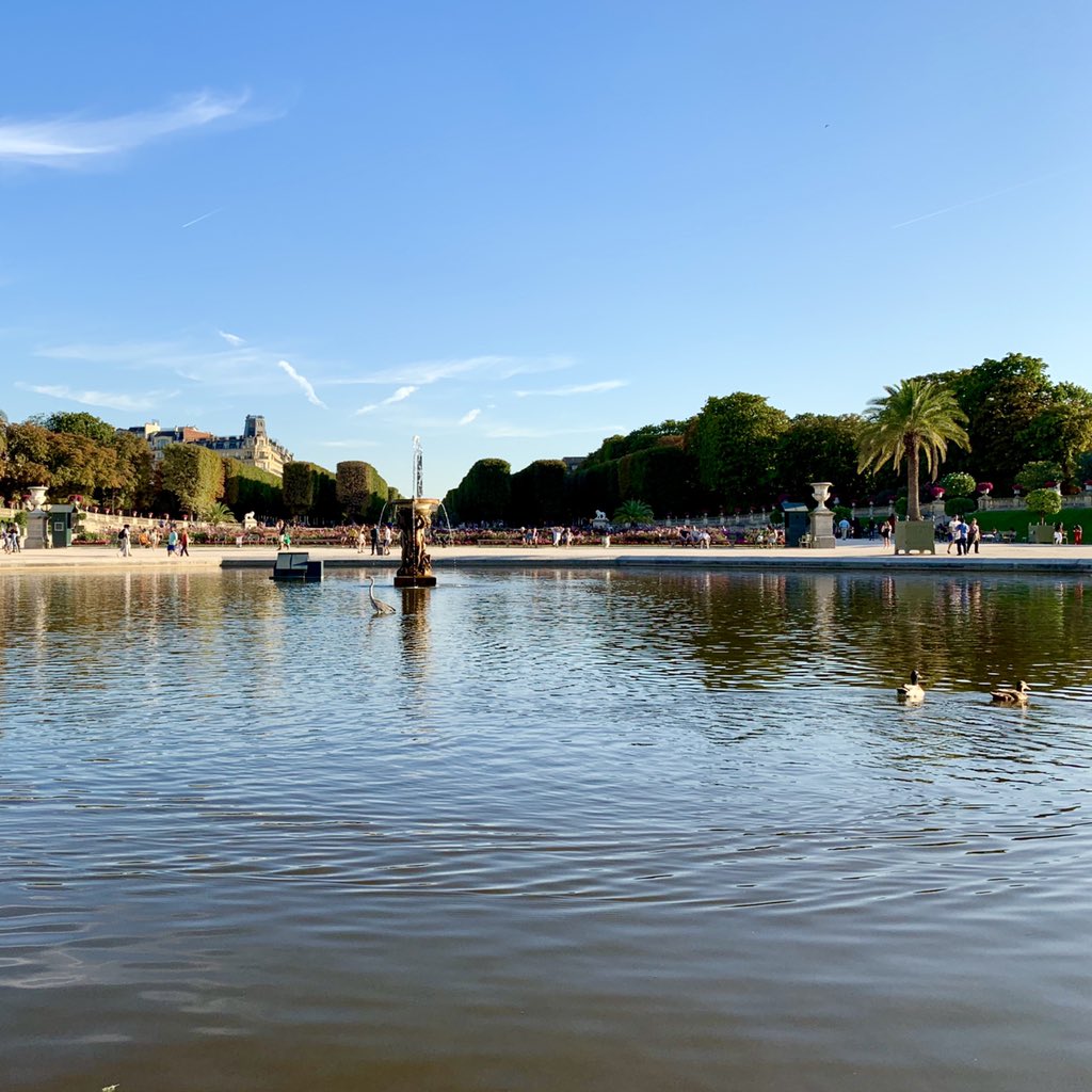 yllwbss's tweet photo. “Sweet Ride! 😘☀️” Friday #yellowboss stroll. #sailboats #ducks #steaming #hot #glorious #sunshine #summer #afternoon #onrails #powerslide #activetilt #etchasketch #mairie #sénat #panthéon #muséeduluxembourg #luxembourgpalace #jardinduluxembourg #paris #france 🇫🇷 #eu 🇪🇺 https://t.co/JOKzZ0qf3d