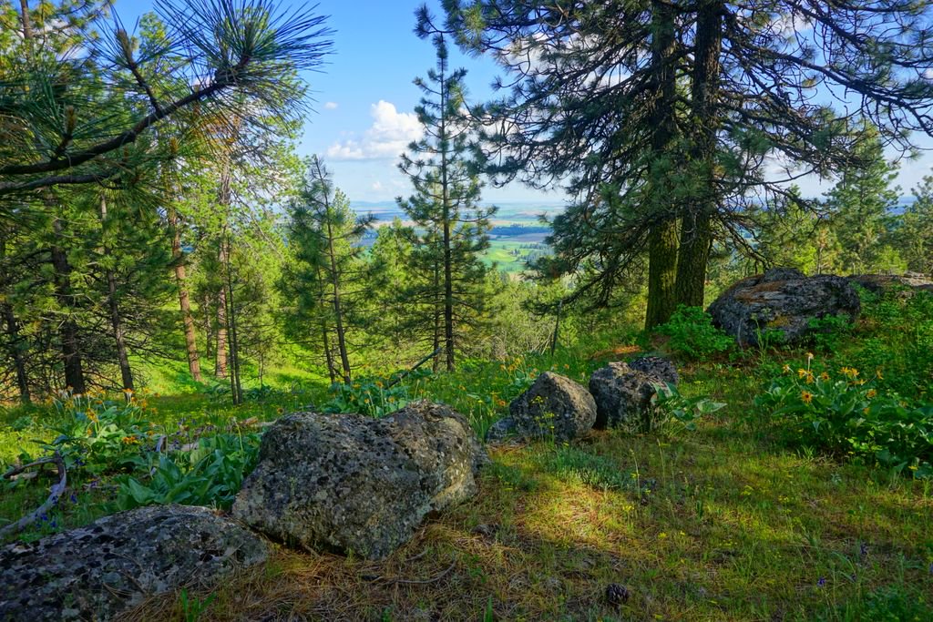 PnwpropertiesG's tweet photo. Top Things to do in Spokane
#PNW #PNWProperties #Couldthisbetheonepnw #Aheroeshome #wemakeyoufeelathome #fireyourlandlordpnw
https://t.co/2nXyx6tXLn https://t.co/IqosWjhDfU