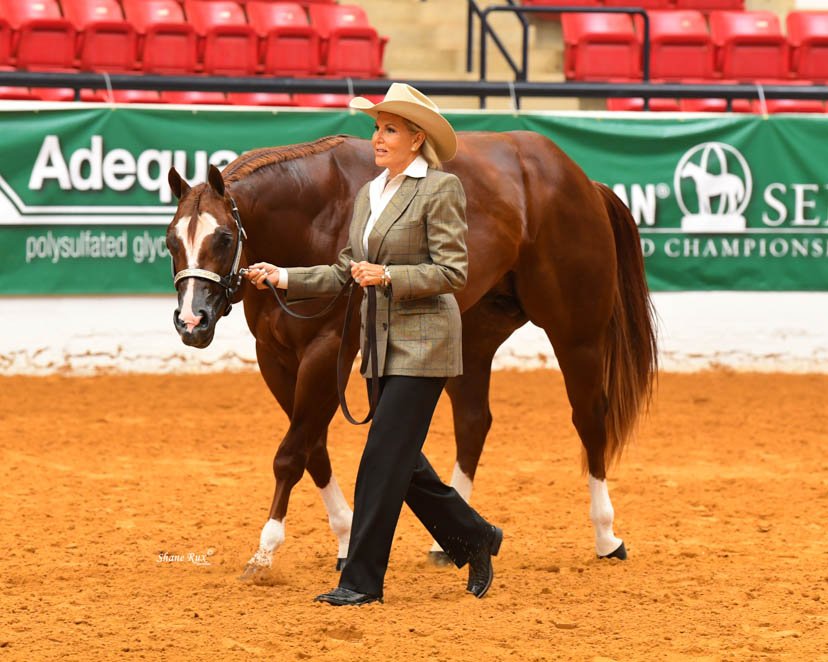 AQHA's tweet photo. Trillions is the world champion 2-year-old stallion at the Adequan #SelectWorld with owner Georgia Snow. #GetThatGlobe https://t.co/JsdxJMzKPo