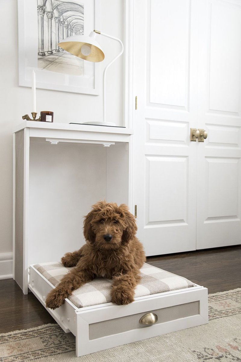 ChrisSchellRE's tweet photo. This stylish dog bed hides away for easy #storage. #homedecor  https://t.co/87ZzhudHlL https://t.co/tiCwFnxMij